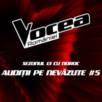 Vasile Mălai & Vocea României - Confesiune (Live)